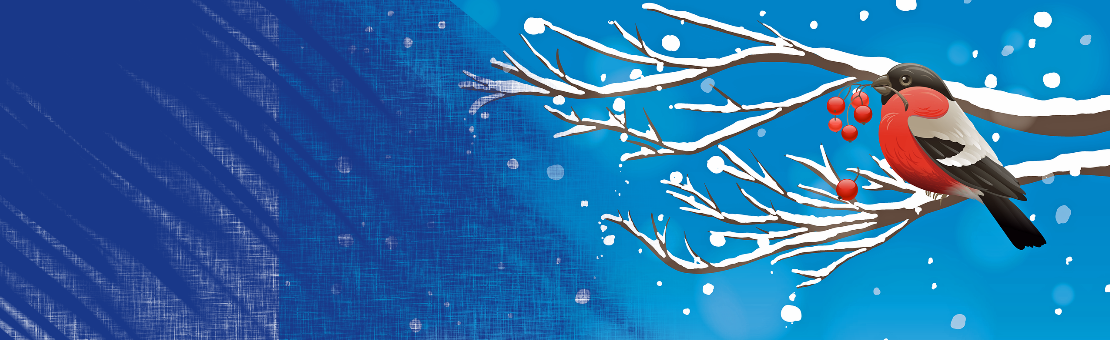 Xmas & New Year Opening Times